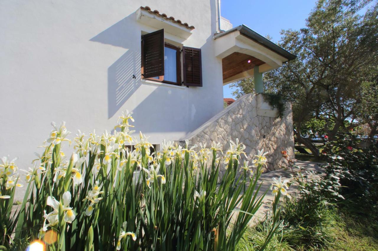 Apartments Vala Bibinje Exterior foto